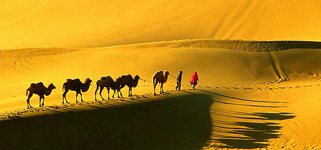 Silk Road is an ancient trading path linking Asia and Europe. Discover its glorious past with us, see 11 Days Silk Road Classic Tour Package (A)